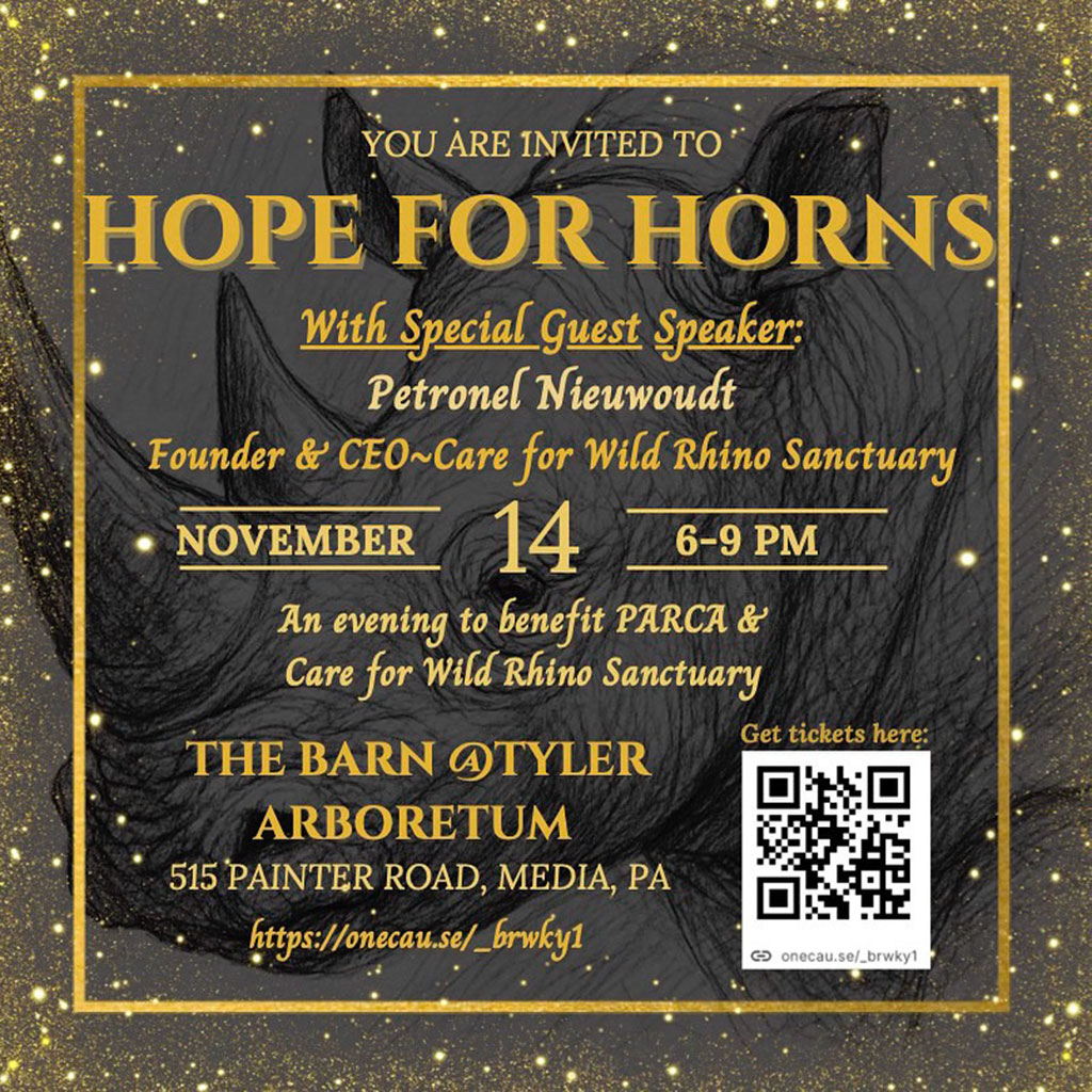 Hope-for-Horns