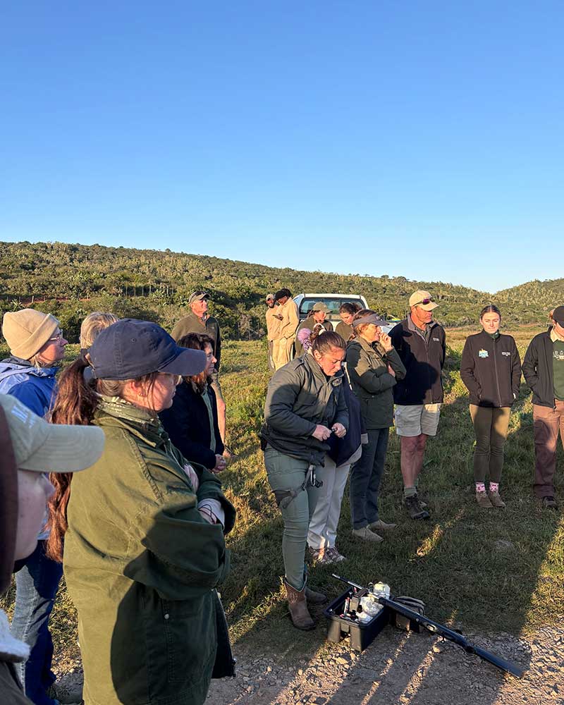 Kariega Game Reserve in Eastern Cape South Africa