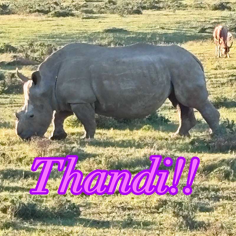 Kariega Game Reserve in Eastern Cape South Africa